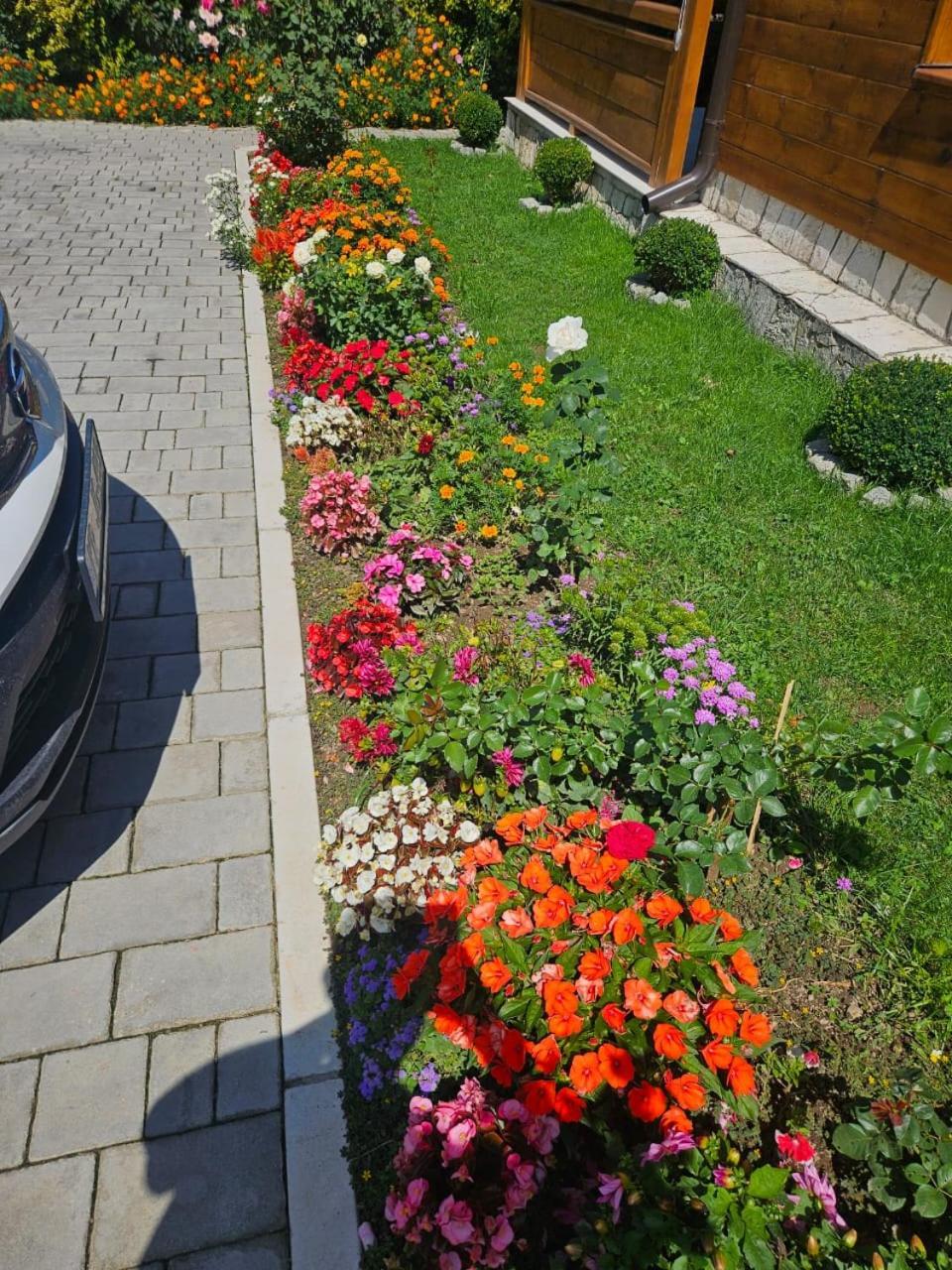 Guesthouse Sandra Kolaşin Dış mekan fotoğraf